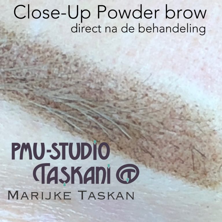 Close up Powder Brows by Marijke